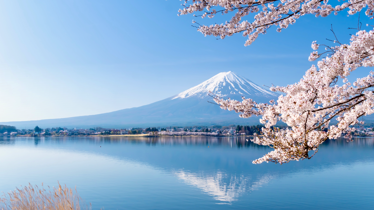 Mount Fuji with a snow-capped peak is reflected in a calm lake, framed by blooming cherry blossom branches under a clear blue sky.